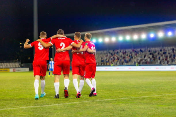 带来精彩的 带来精彩的