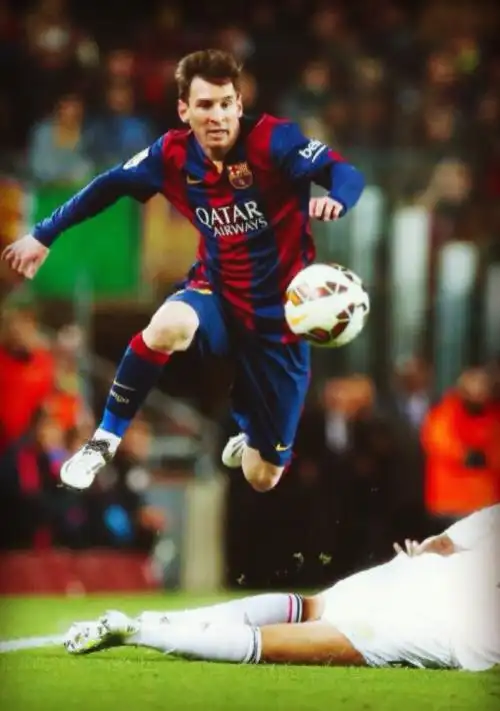 不仅体现了 不仅体现了