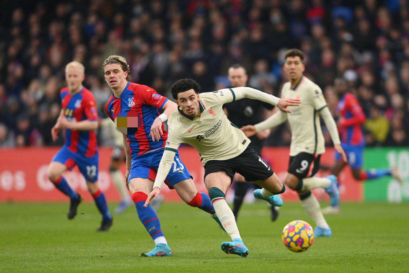 业生涯长度 业生涯长度